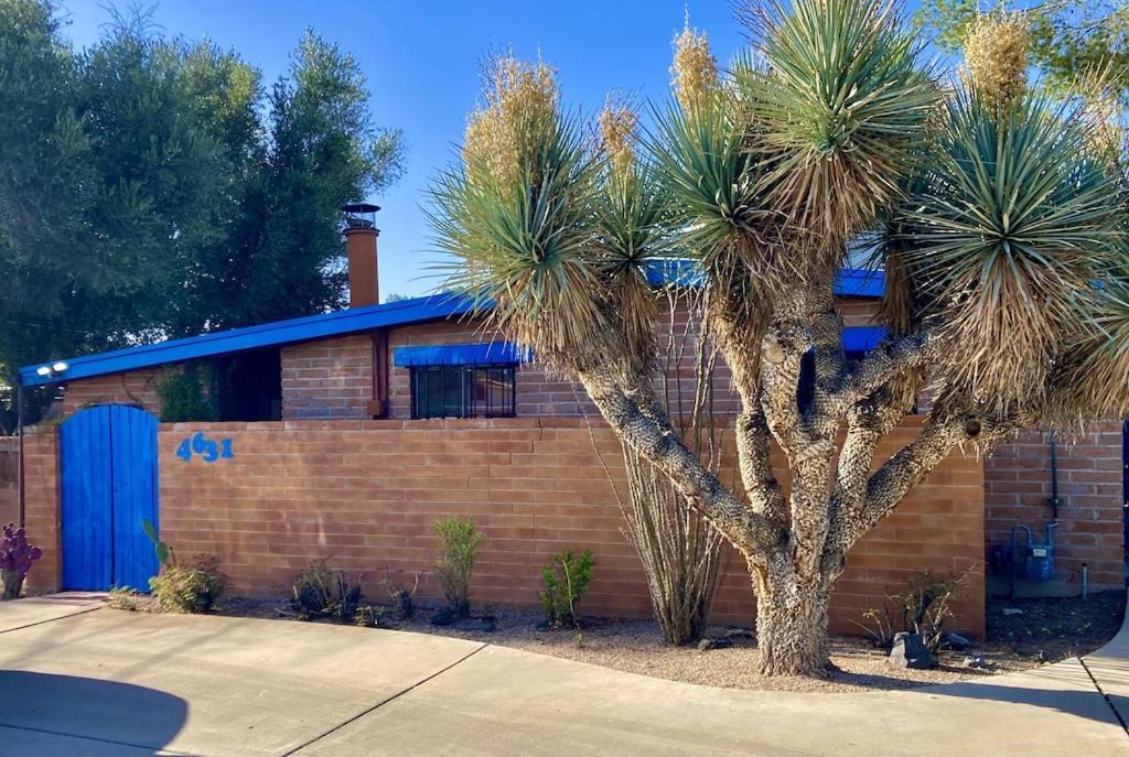 Casa Azul: Pet-Friendly Adobe Oasis in Central Location Villa Tucson Exterior photo